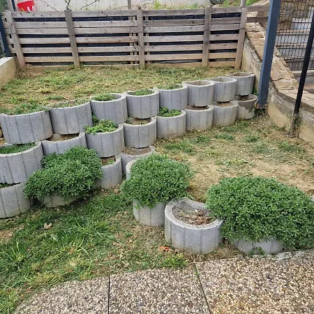 Apartman Apartma Flora *